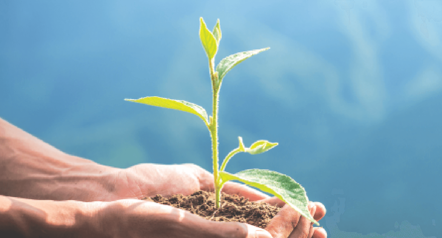 supports eco responsables