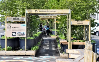 Impressions sur bois pour le Quai des Plantes, à Nantes